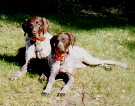 1996- Maddie and Sophie Bell