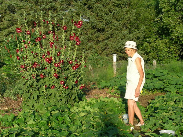 430 Charlotte in her garden, Aug 2005