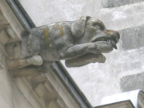 DSCN6824 Gargoyle, La Rochelle