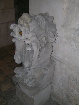 DSCN7018 Gargoyle, Musee d'Orbigny-Bernon, La Rochelle