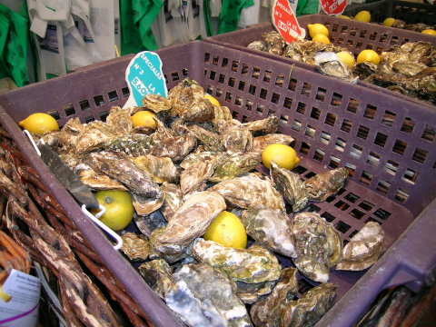 DSCN7025 Oysters, City Market, La Rochelle