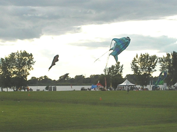 P1090048 Big kites, north of Montreal