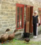 P1080866 Mary Ann and ducks by Marie's bread shop, in Chateau Richer near St Anne de Beaupre